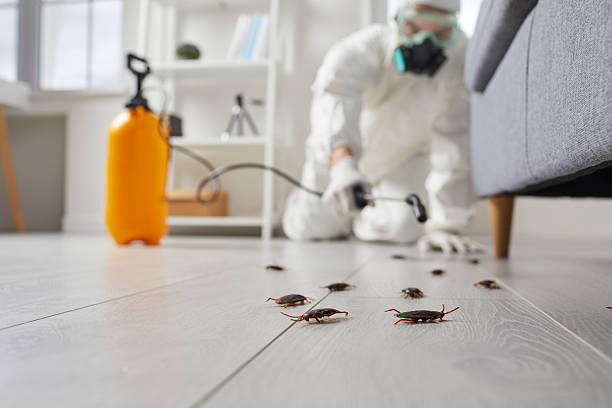 Commercial Kitchen Cockroach Control in High Ridge